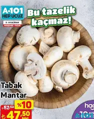 TABAK MANTAR ADET